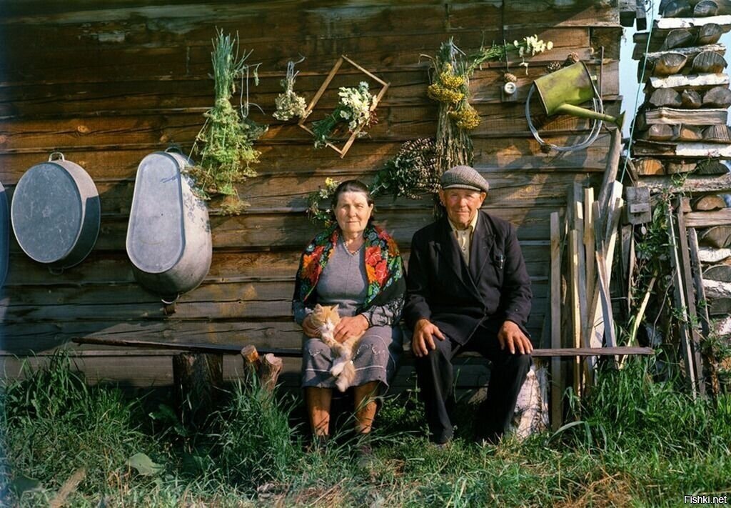 Солянка