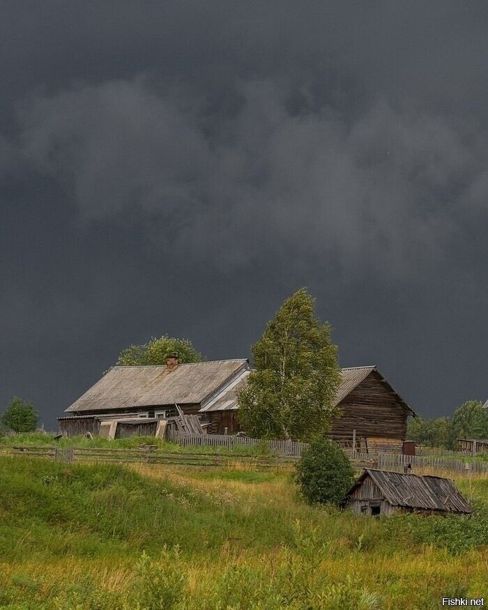 Солянка