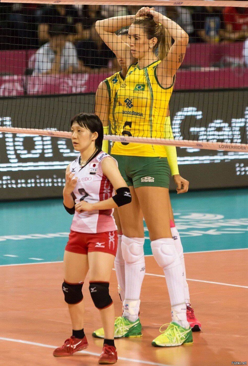 Солянка