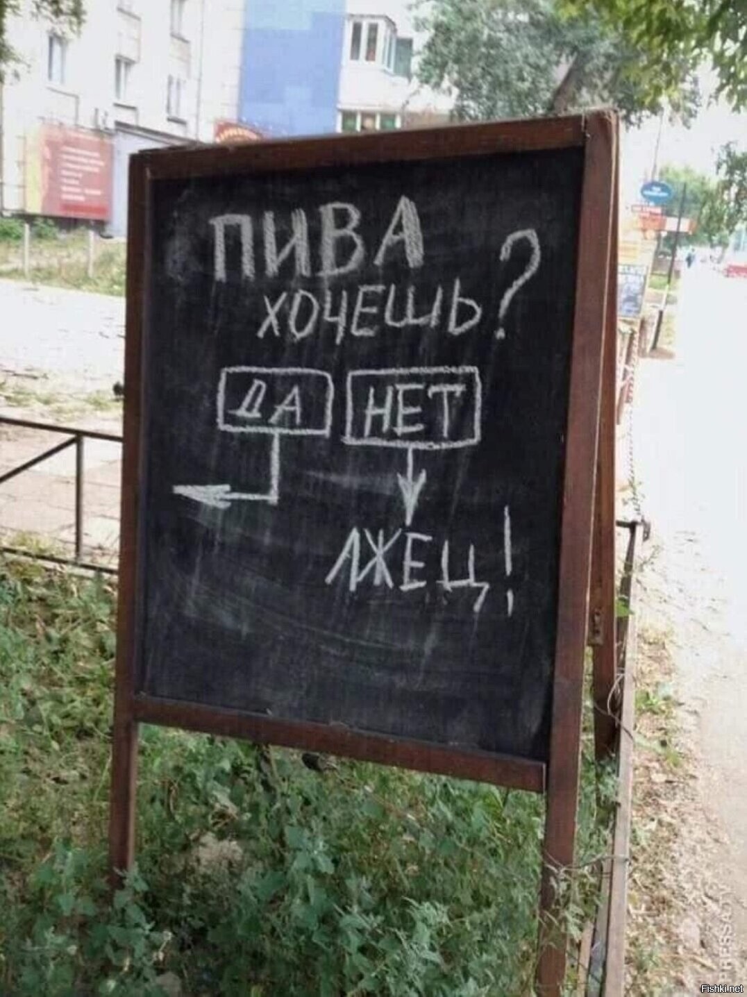 Солянка