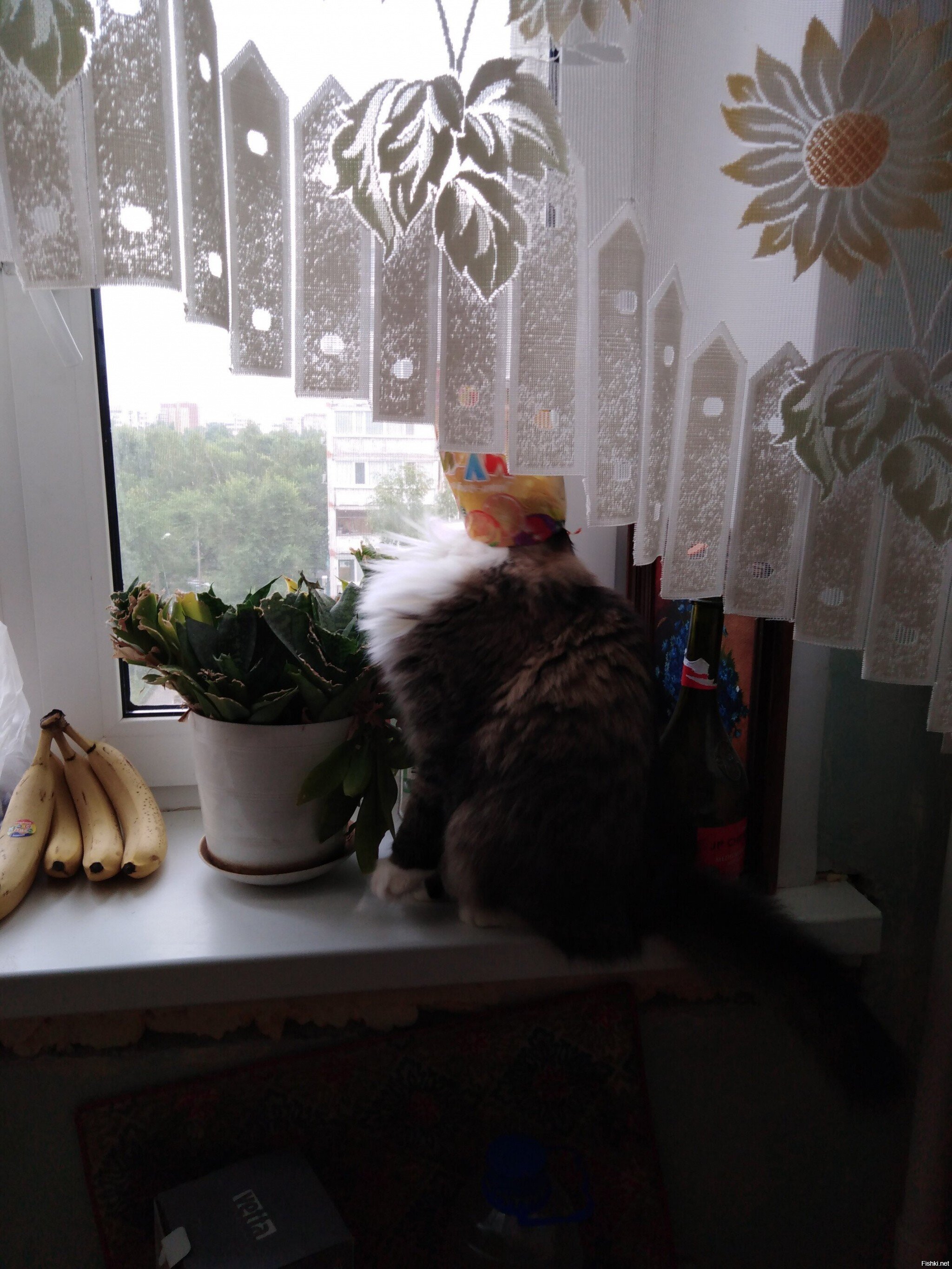 Это мы, сутра, ждём когда поесть сделают