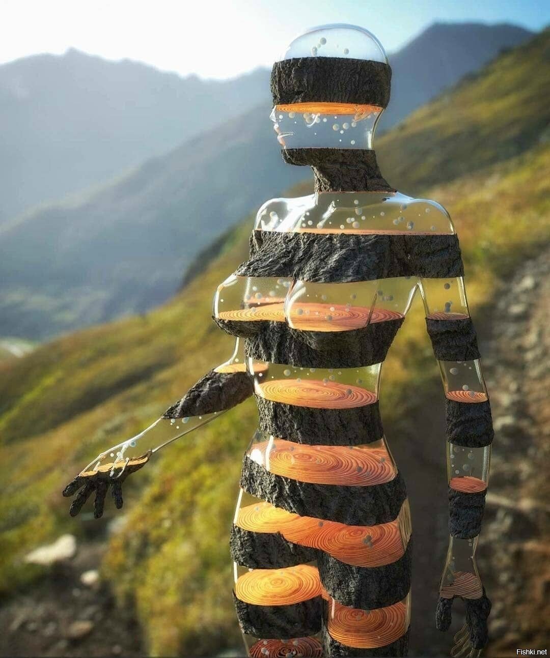 Солянка