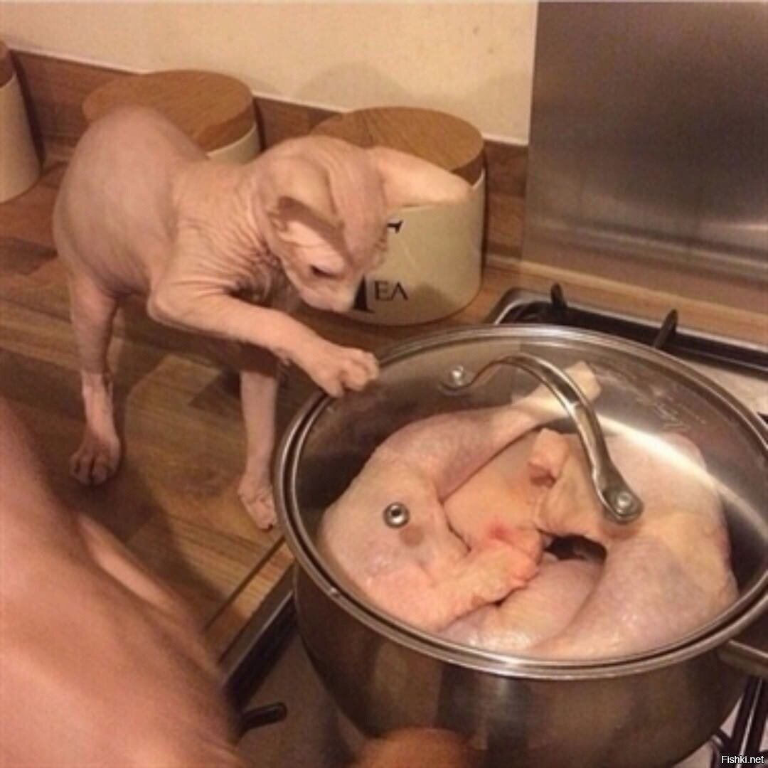 Солянка