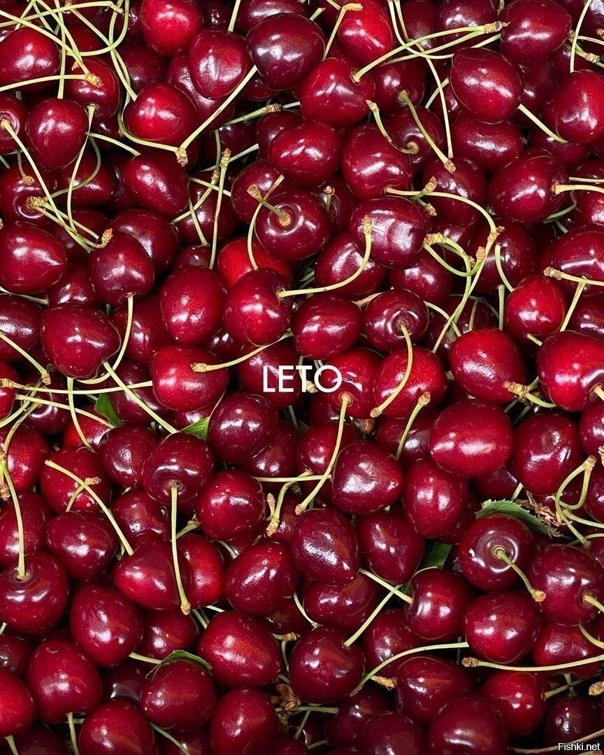лето