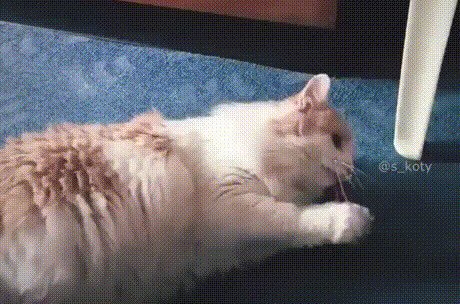 И это было с каждым 