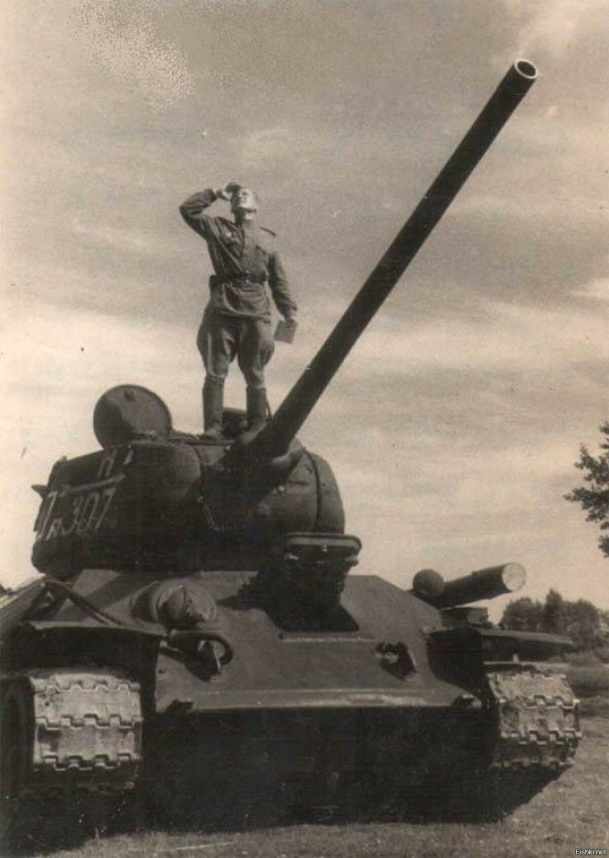 Солянка