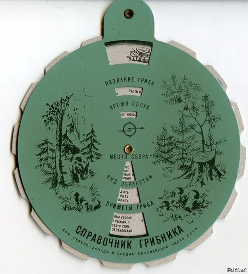 Солянка