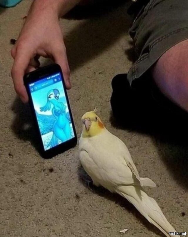 Доброе утро