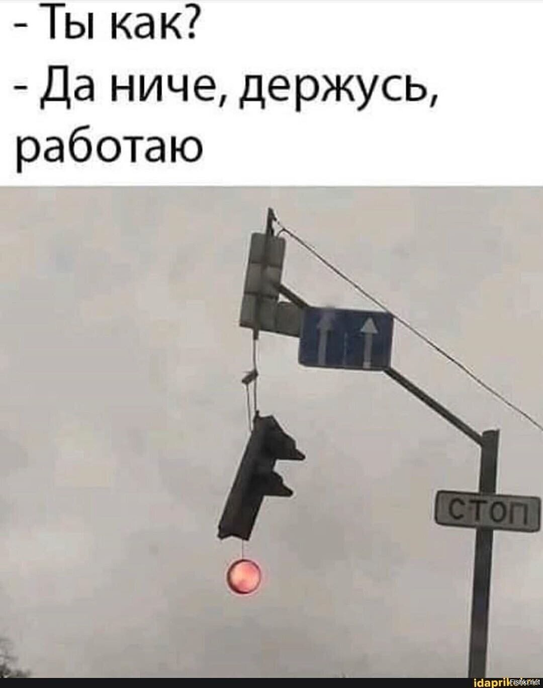 Солянка