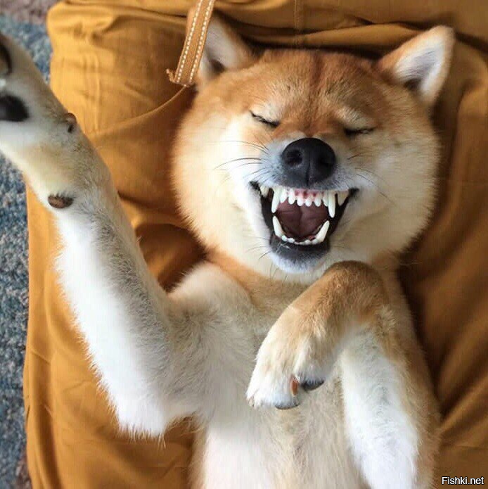 С добрым утром