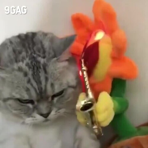 Старое, но классное