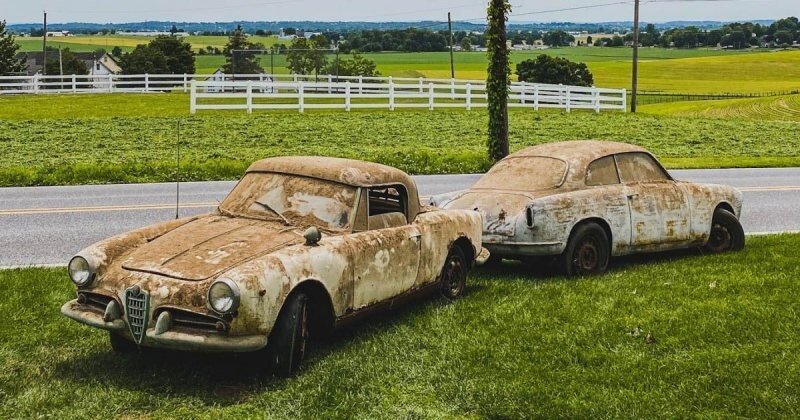 В США нашли пять классических Alfa Romeo, простоявших в сарае 40 лет