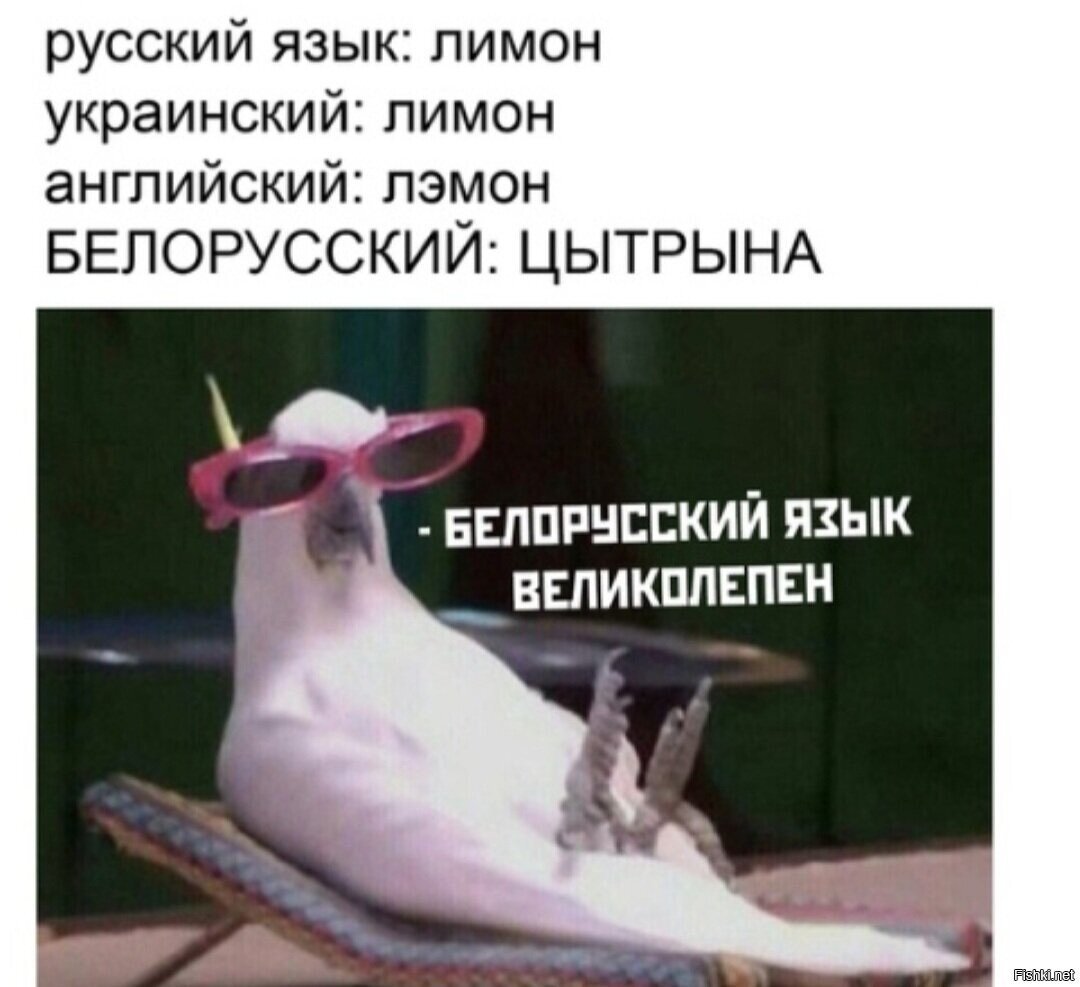 Солянка