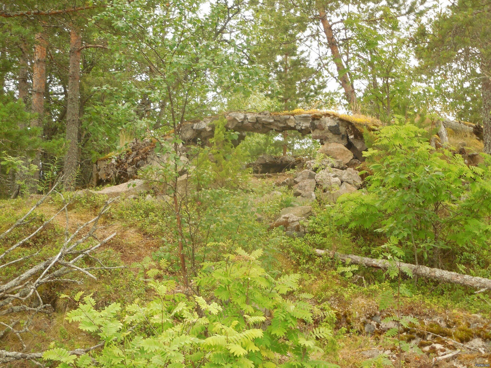 Там же