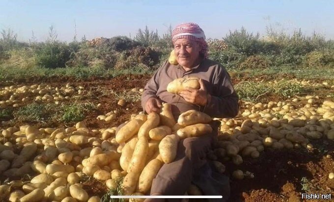 Вот тебе и колхоз имени Асада