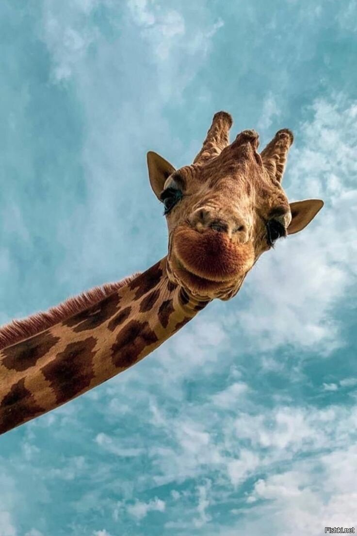 Всем доброе