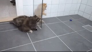 - Пацаны, не дайте уйти