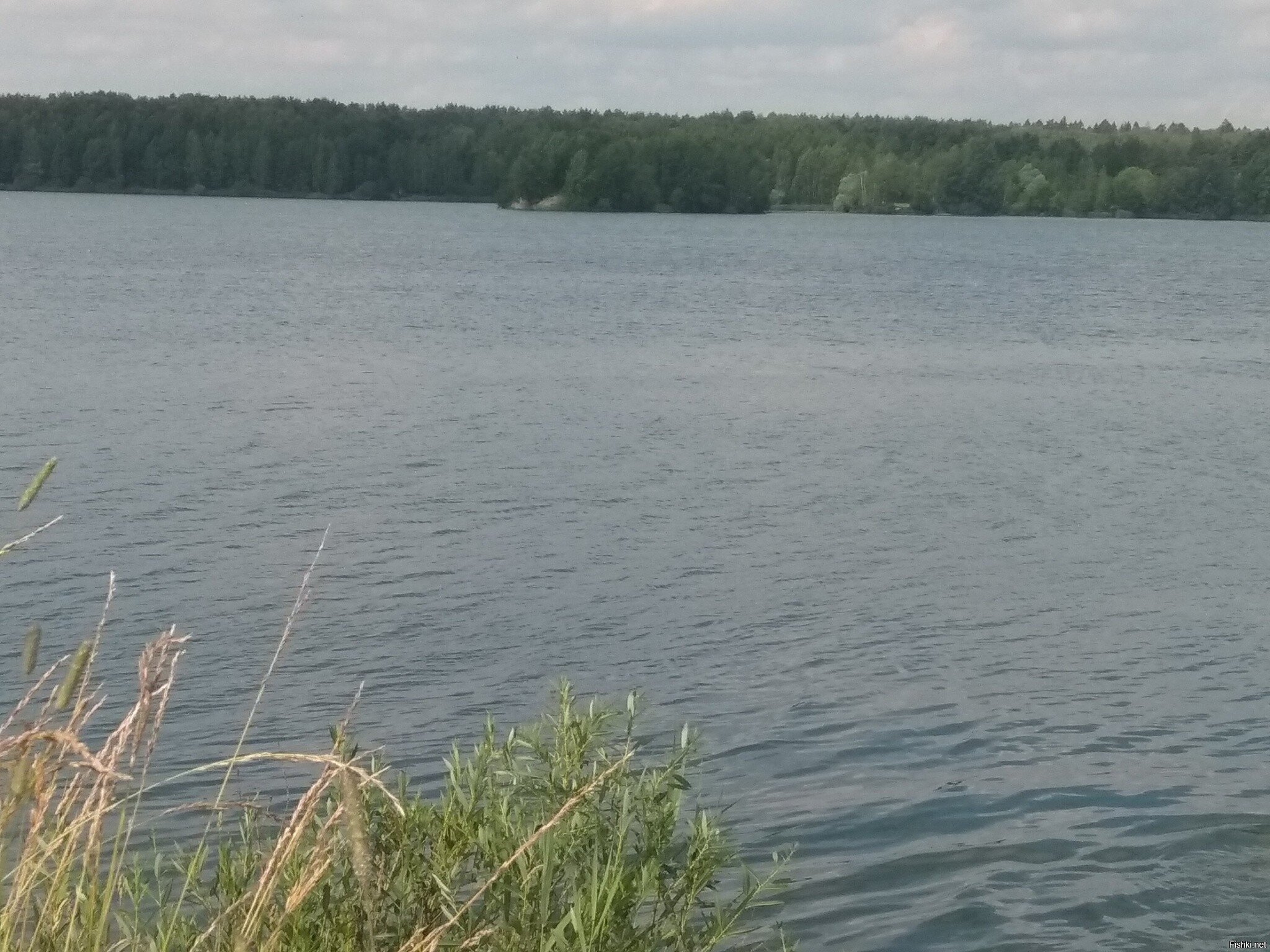 Погода класс, купаемся