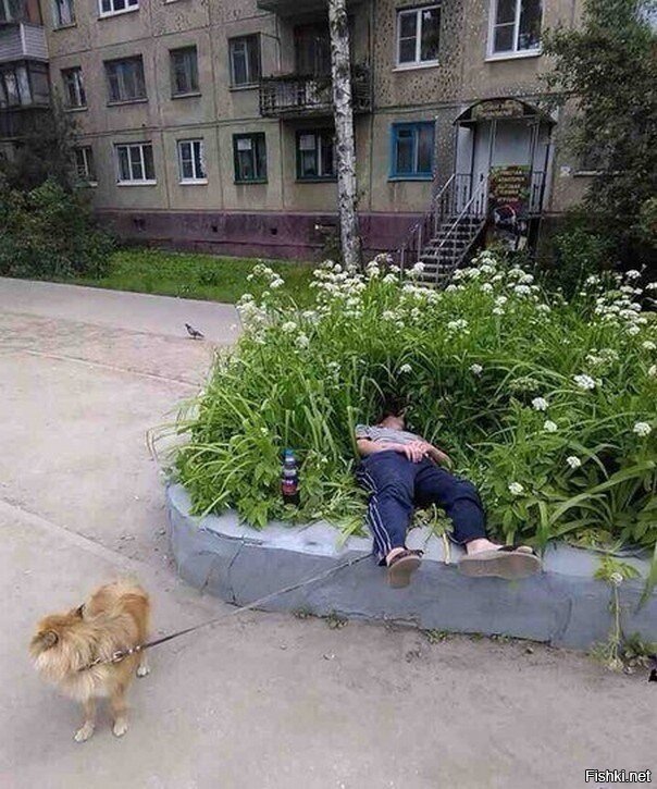 Солянка