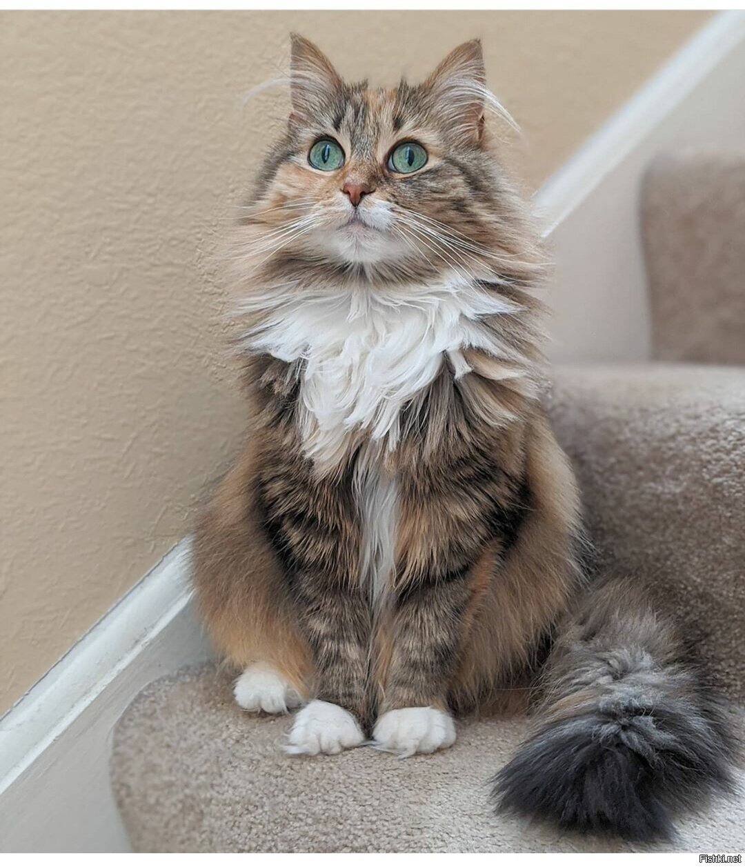 Доброе утро