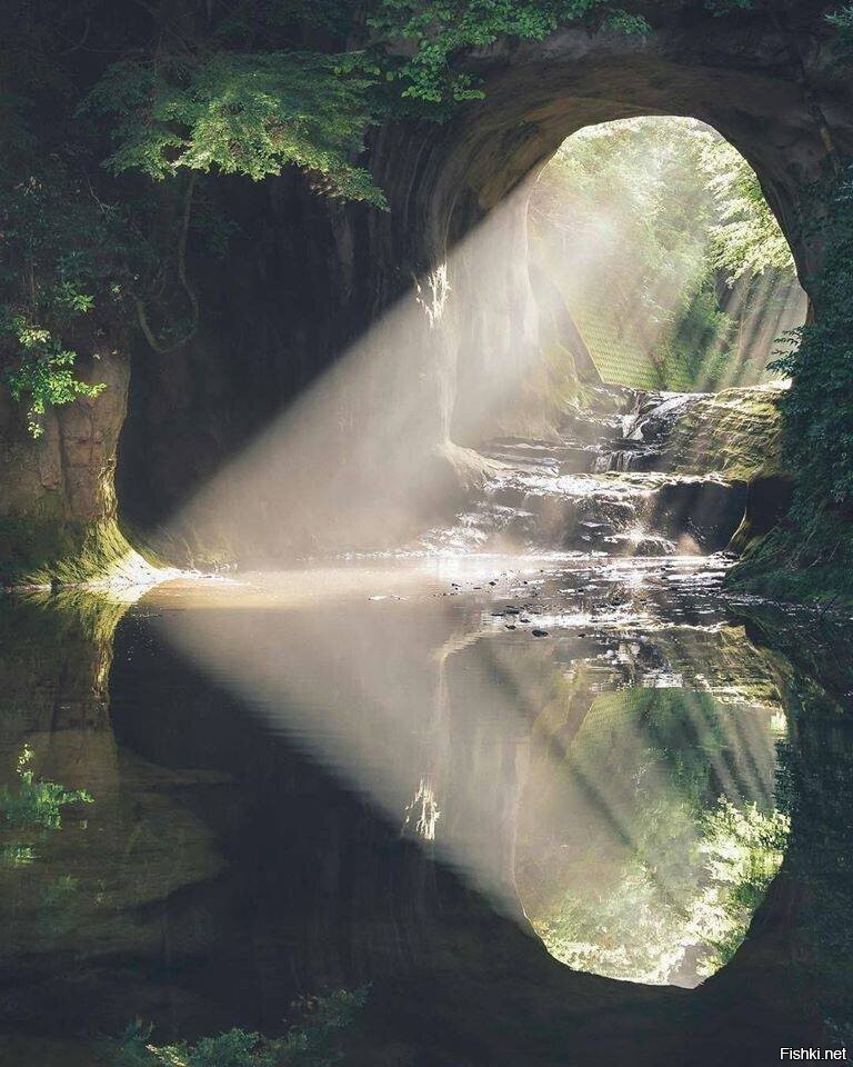 Доброе утро