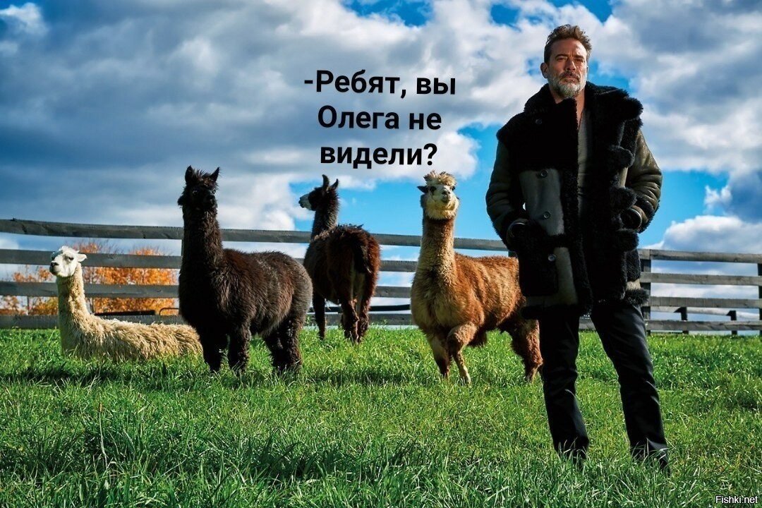 Солянка