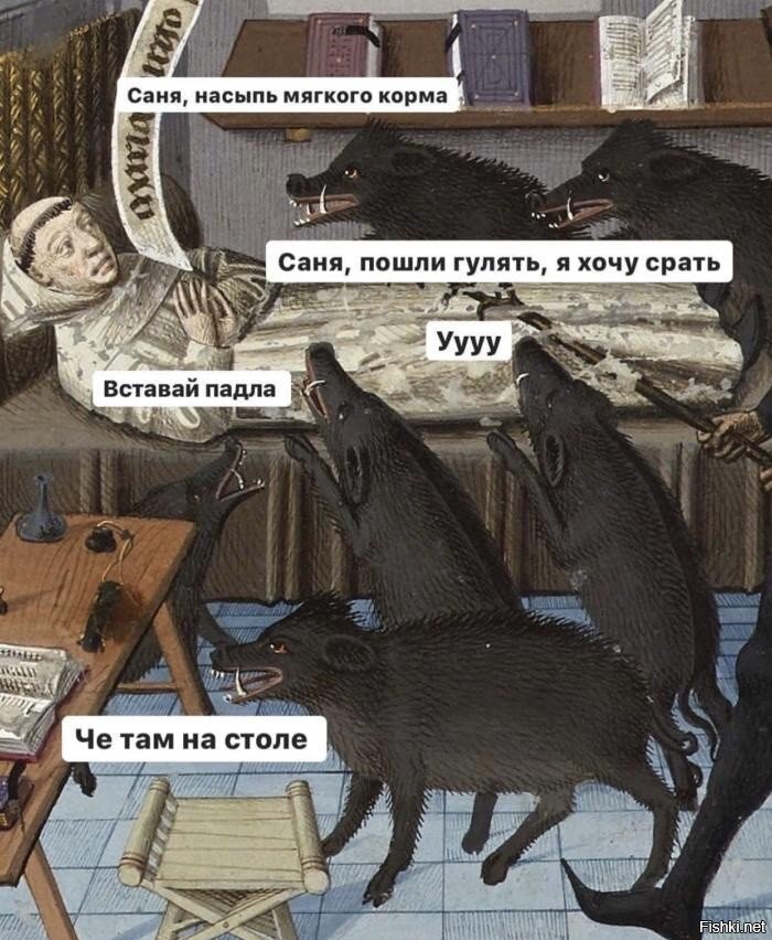 Жизнь собачника