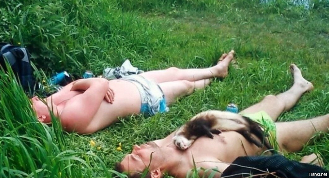 белочка больше не приходит, устала