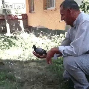 Так себе спасатель