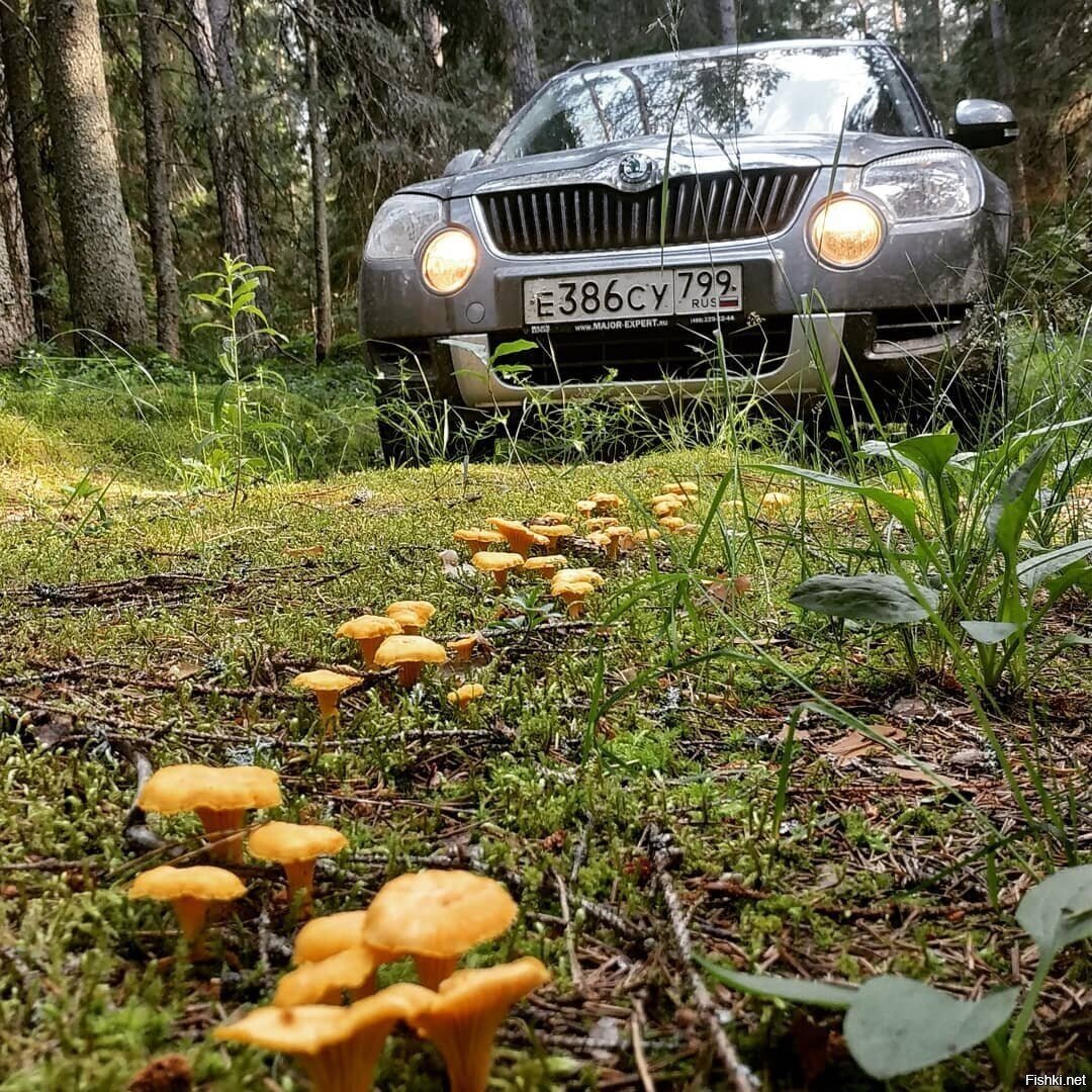 Солянка
