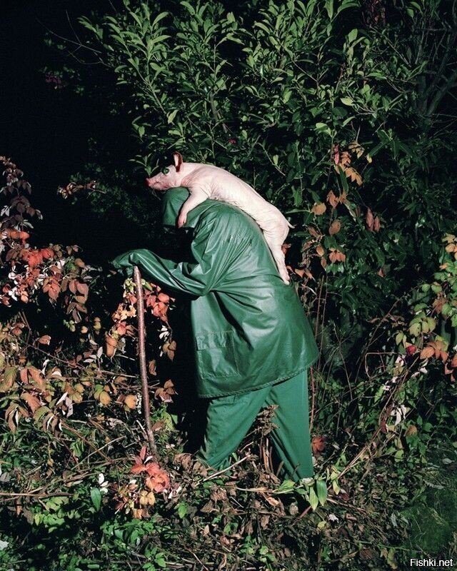 у соседа порося пропал