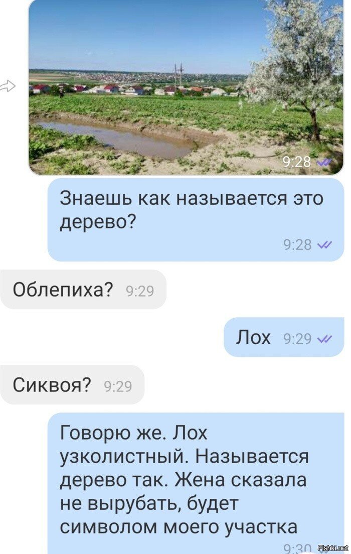 Л0Х