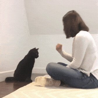 Кот ученый