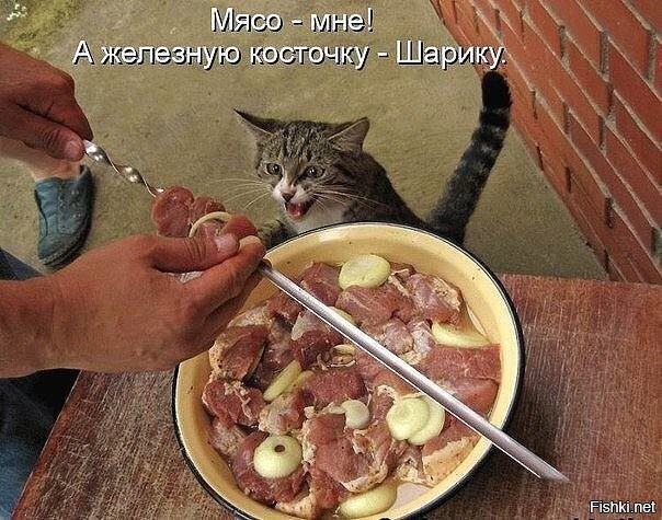 Солянка