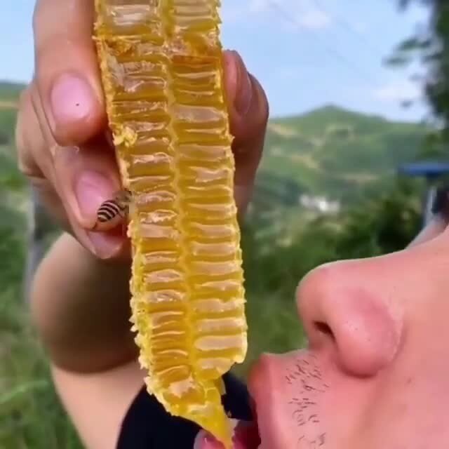 Медку