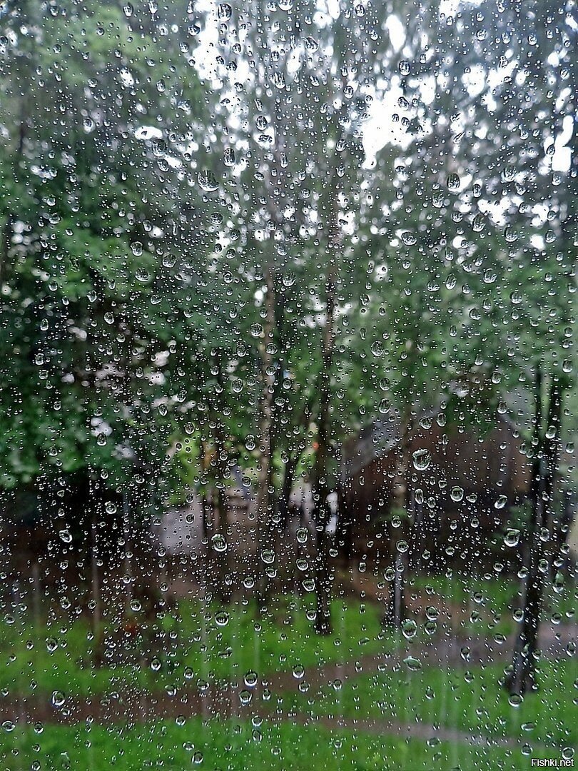 ура, дождь пошёл