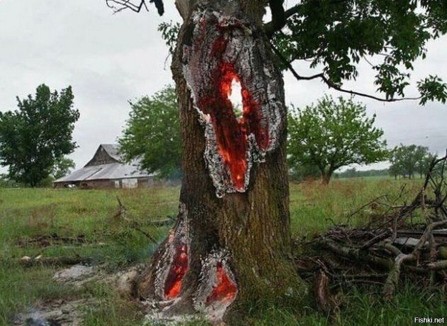 Солянка