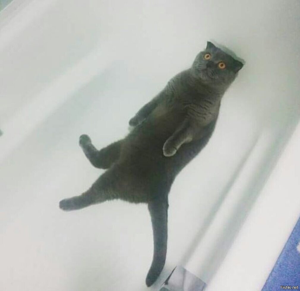 Похер