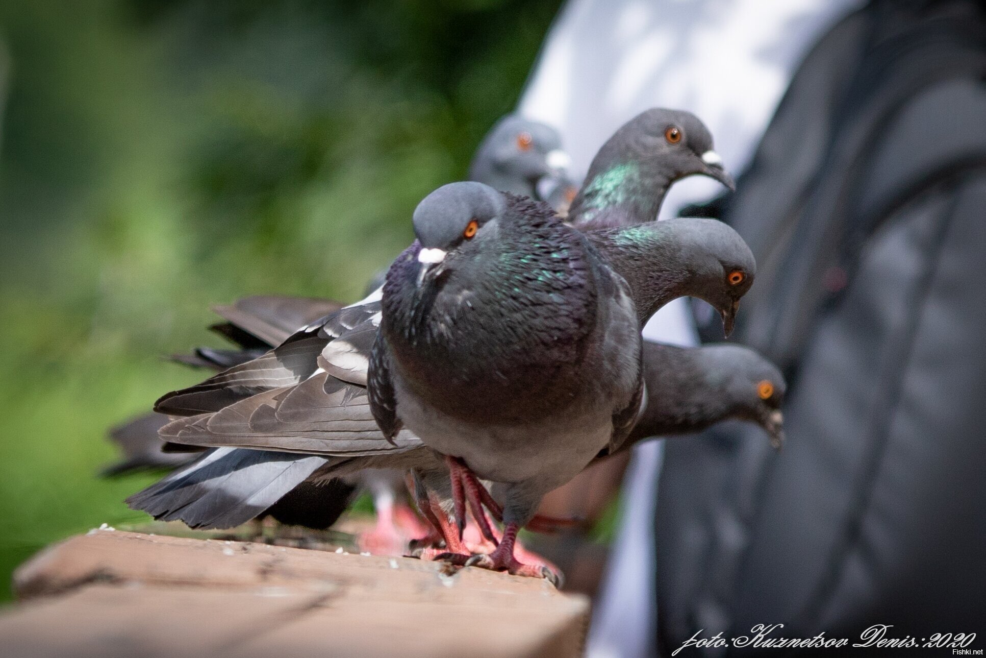 Сегодня снял