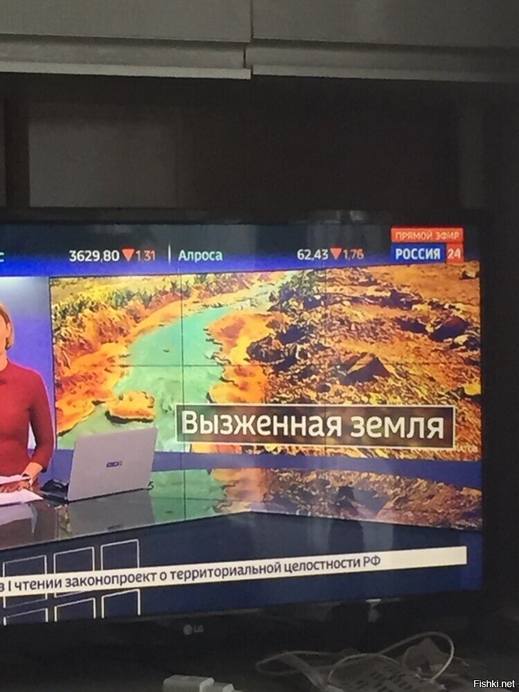 Мля