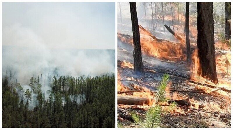 Пожары в Сибири пошли на убыль благодаря искусственным дождям