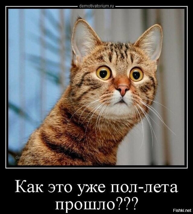 Всем доброе утро