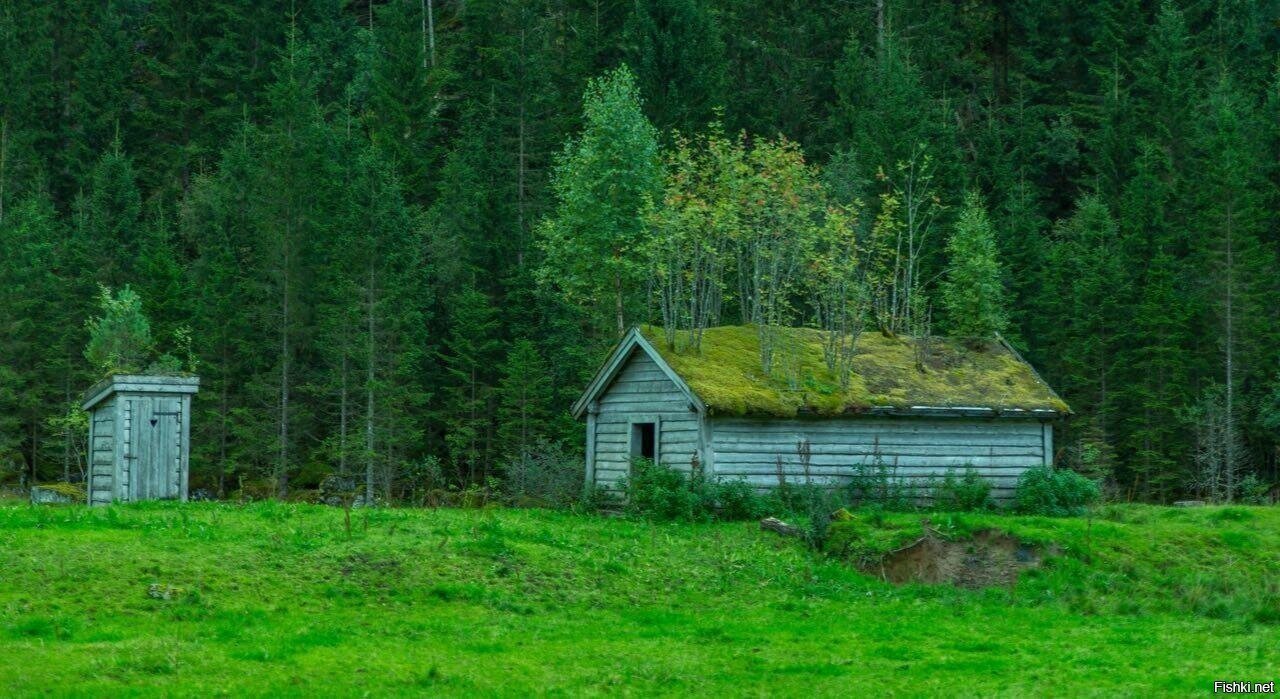 Солянка