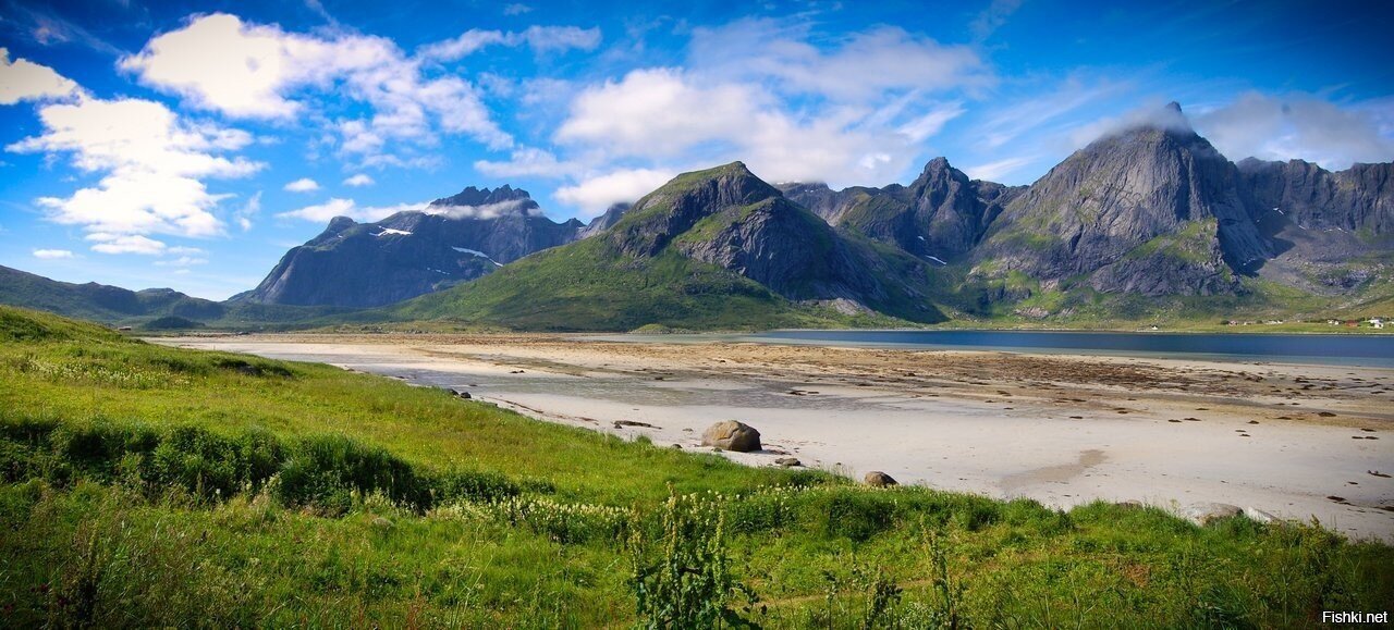 Доброе утро