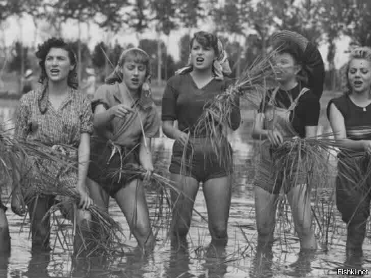 Брависсимо итальяно,