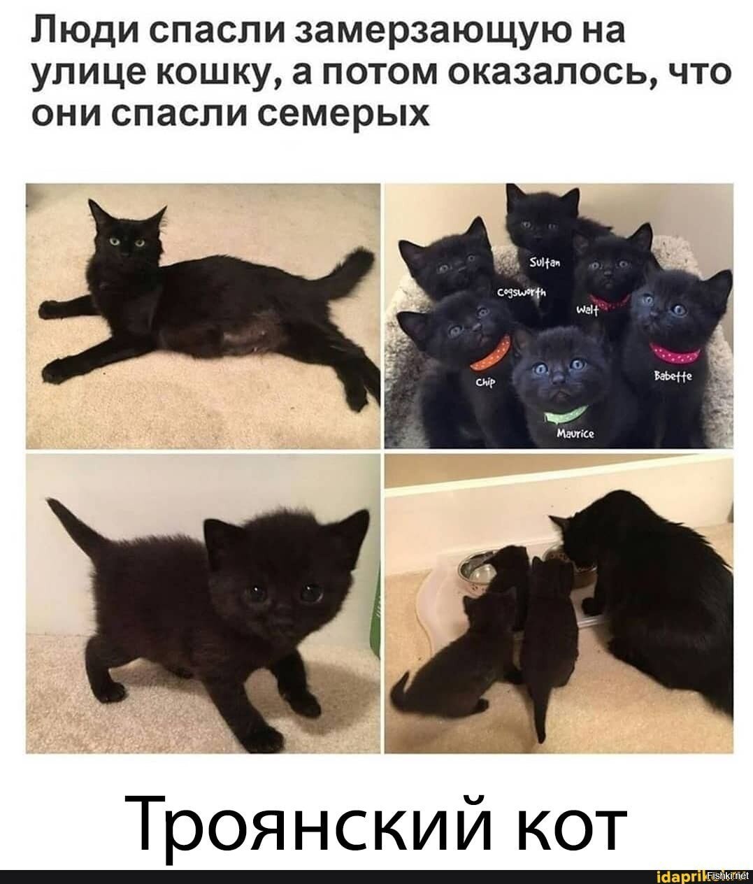 Солянка