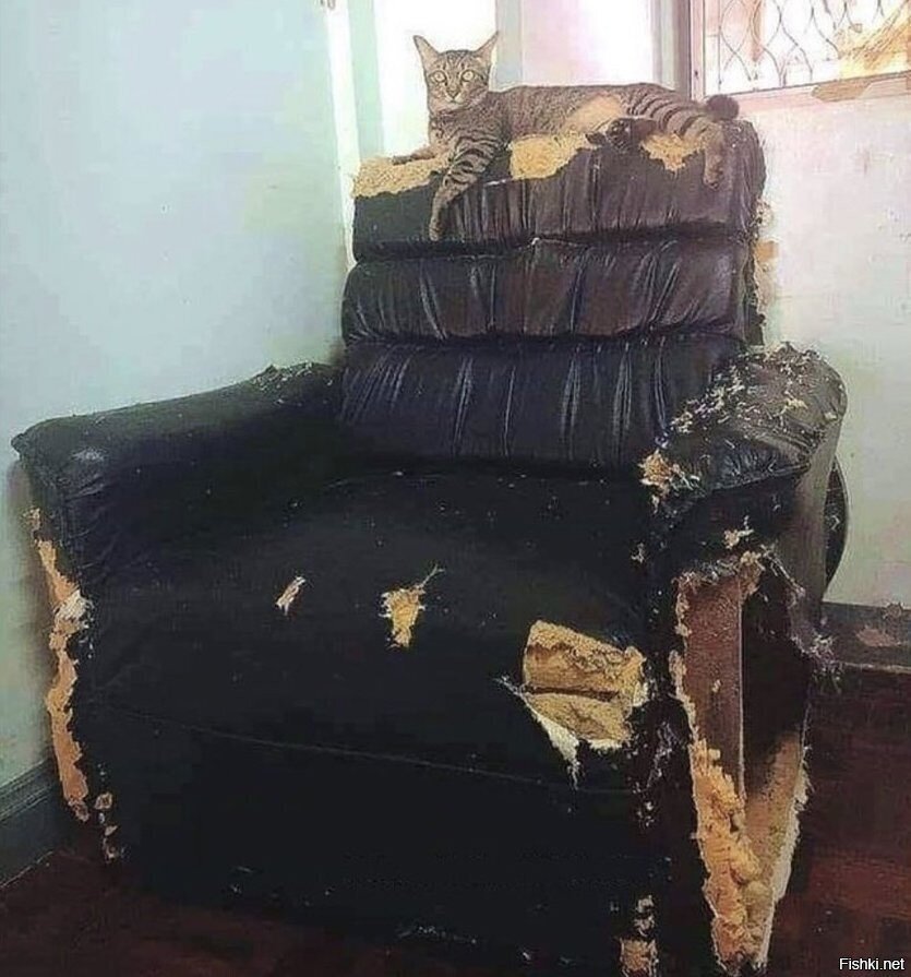 ............