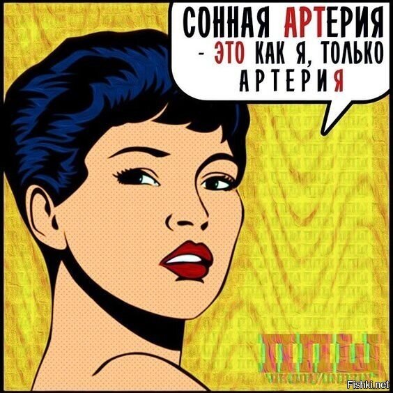 Солянка