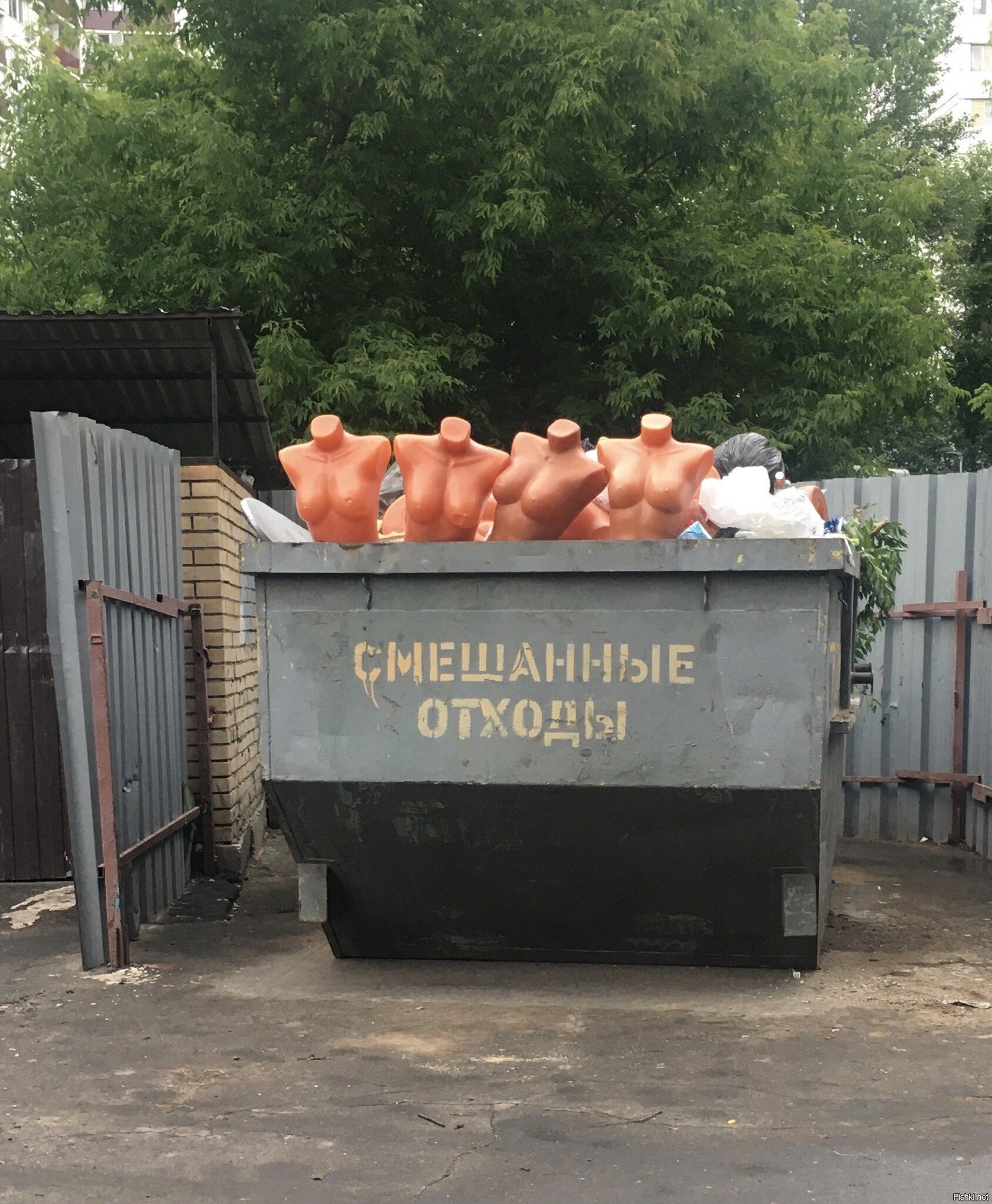 Солянка