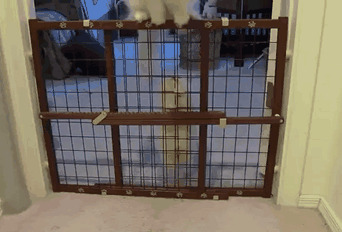 - У тебя получится